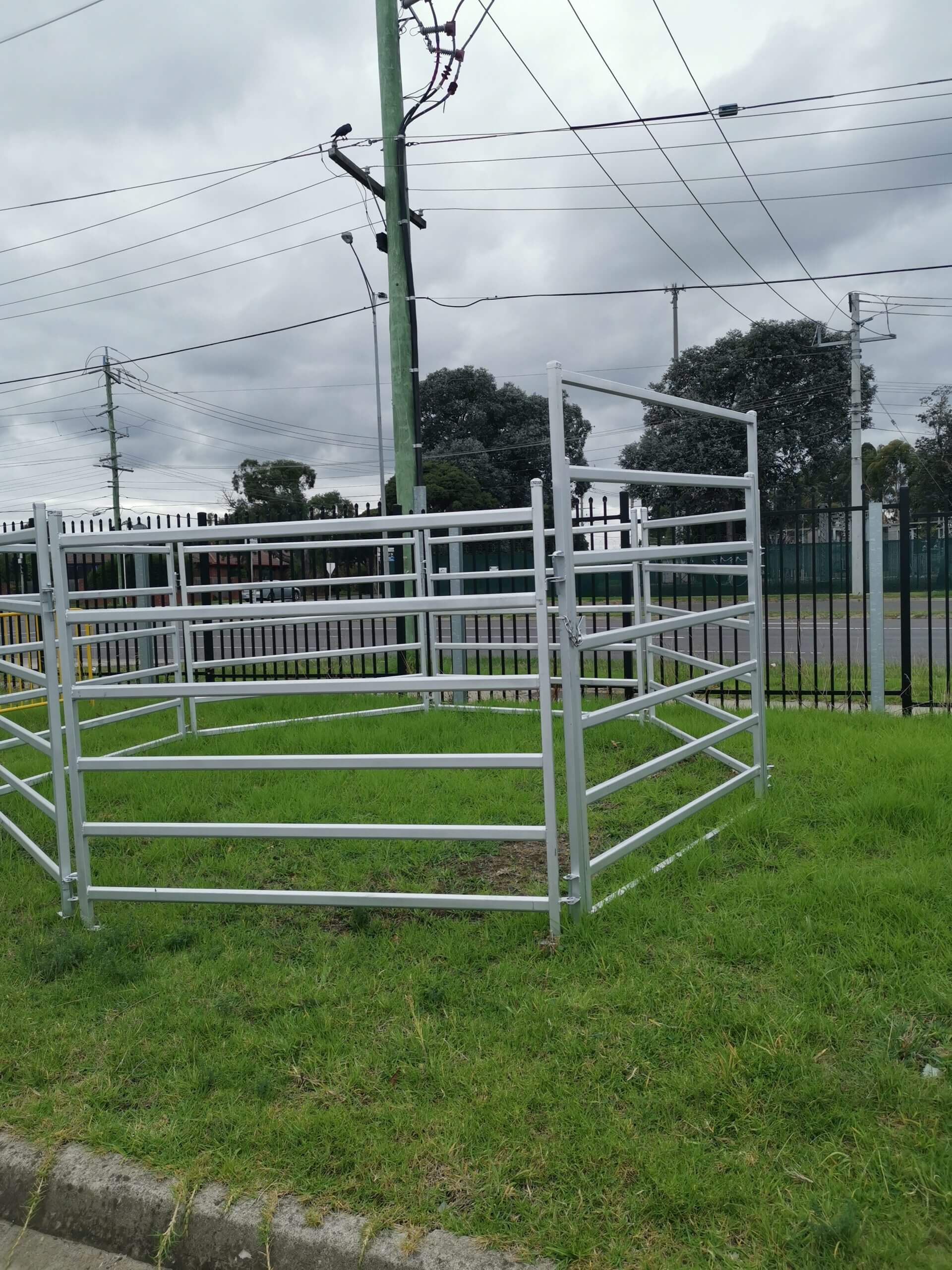 Livestock Yard Panels